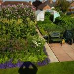 plot 2011 042