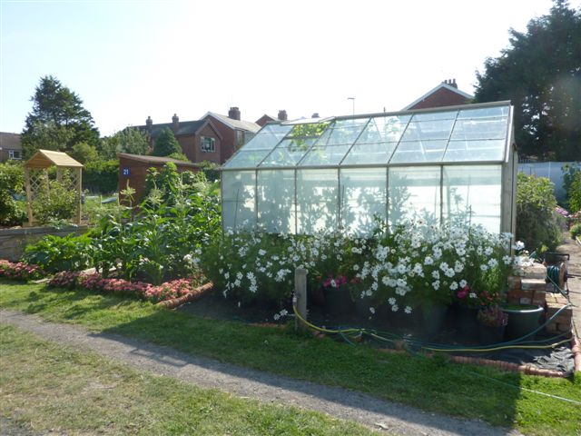 plot 2011 002