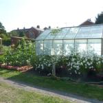 plot 2011 002