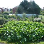 plot 2011 003