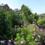 plot 2011 010