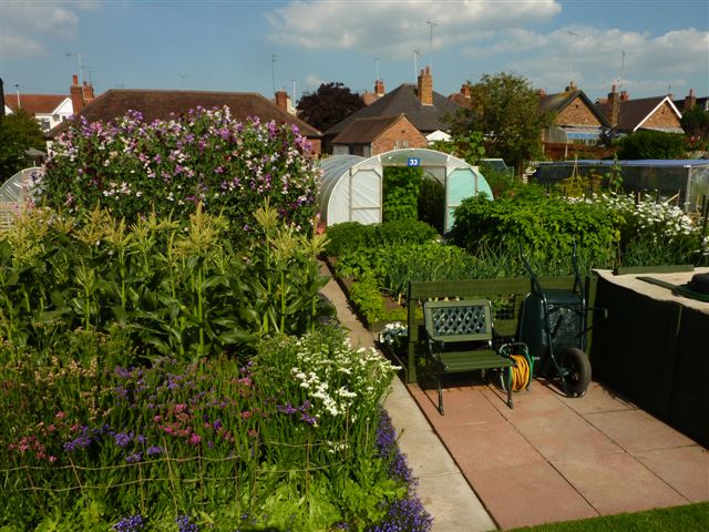 plot 2011 014