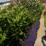 plot 2011 016