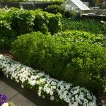 plot 2011 026
