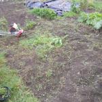 DSCN1516.JPG