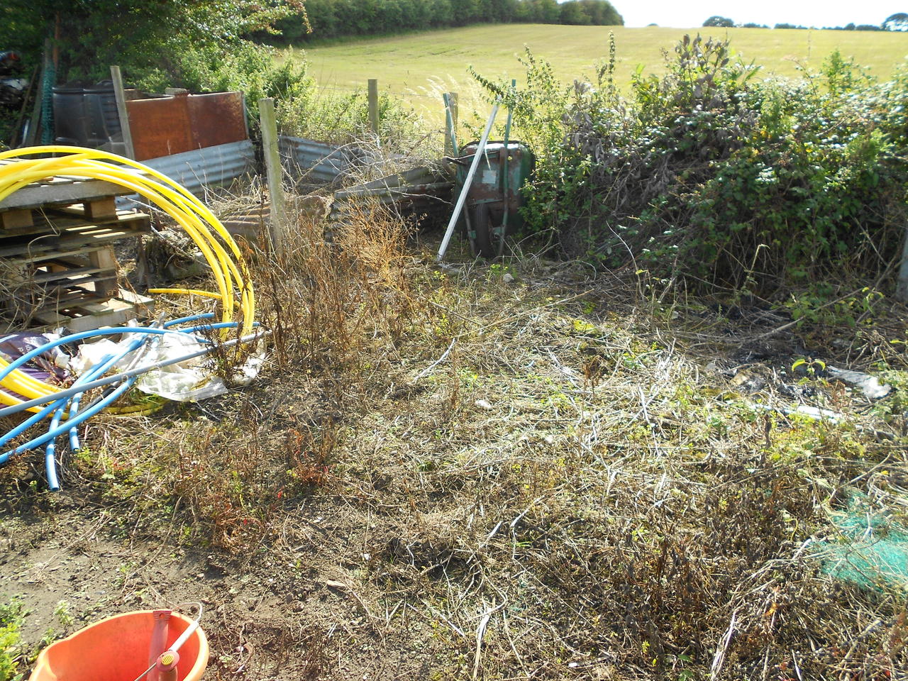 DSCN0128.jpg