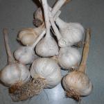 DSCN0385.jpg
