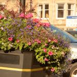 AAA_0952.JPG