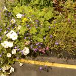 AAA_0967.JPG