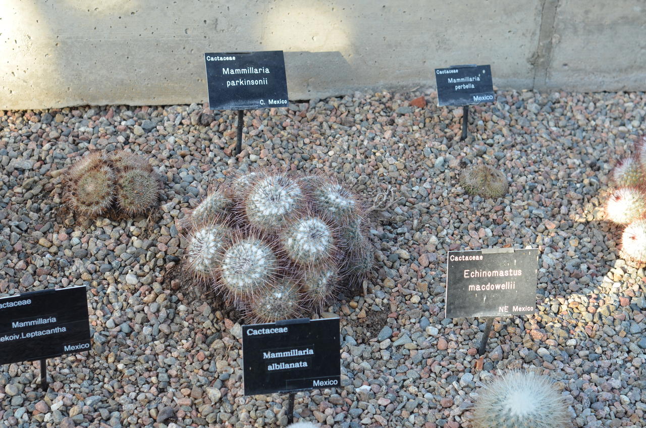 AAA_1189.JPG