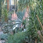 Arid House
