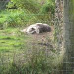 Monkeys 17.11..11 045