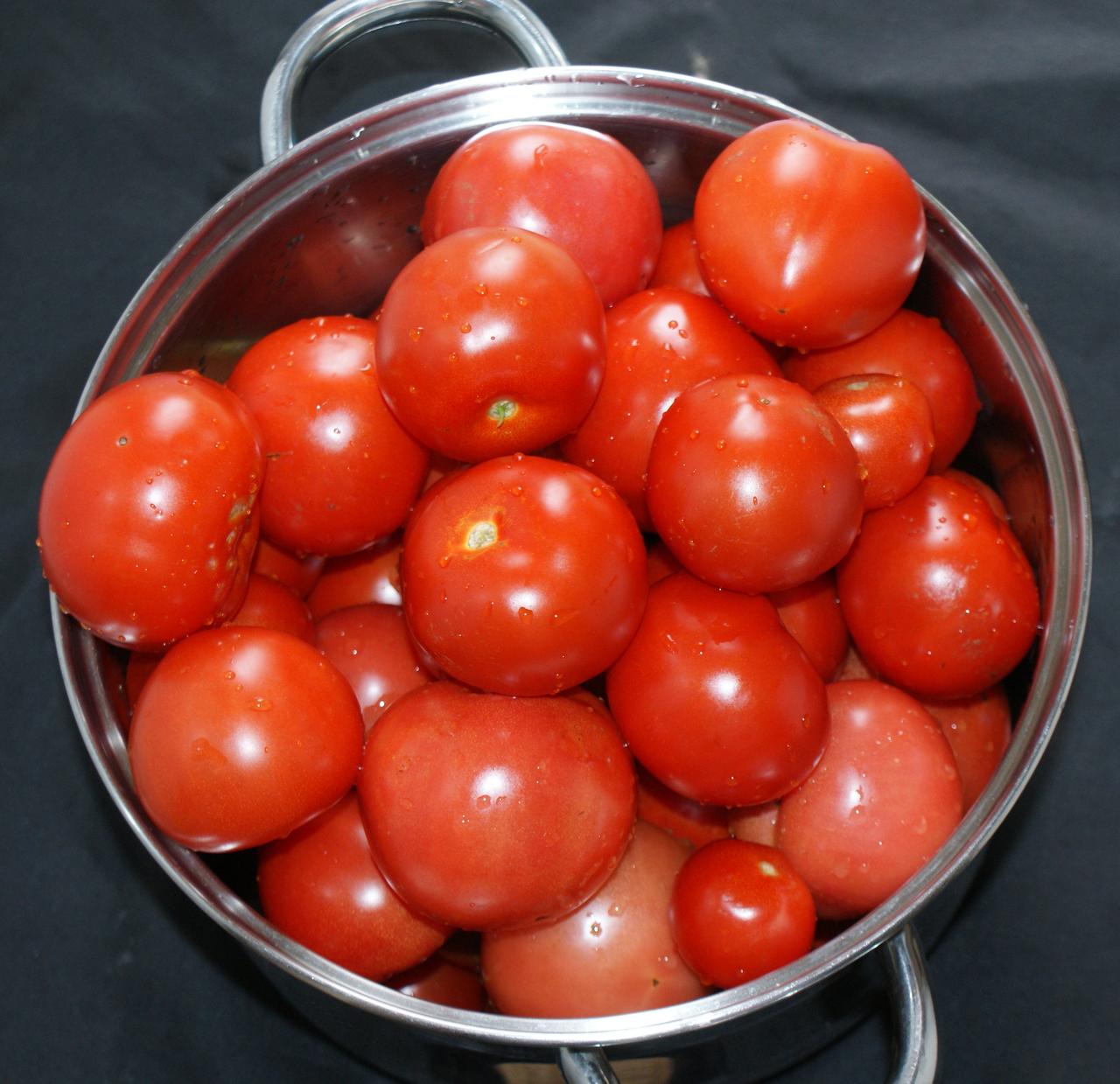 Ripened blight resistant Ferline tomatoes