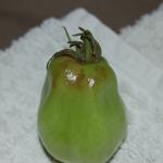 DSC_6152.JPG