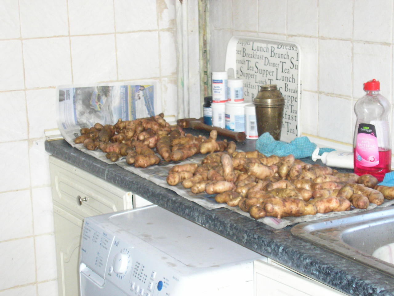 Pink Fir Apples 004