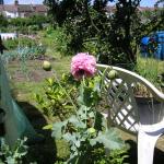 LottieJune08009