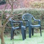 garden and ice Feb 2012 003