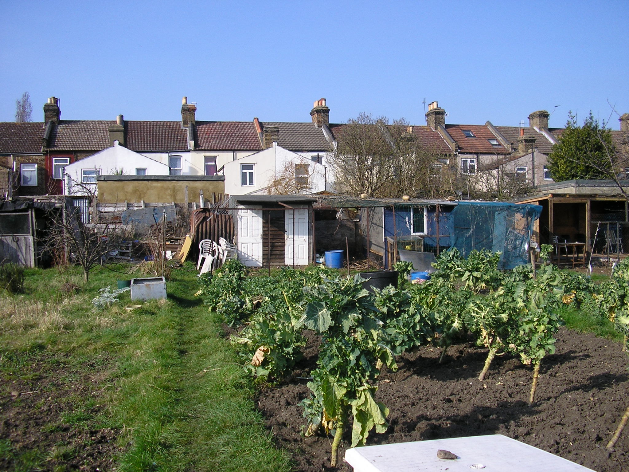 New plot 001