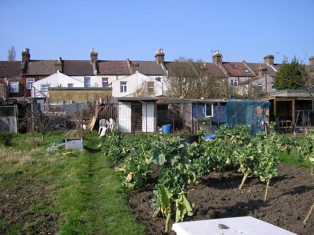 New plot 001