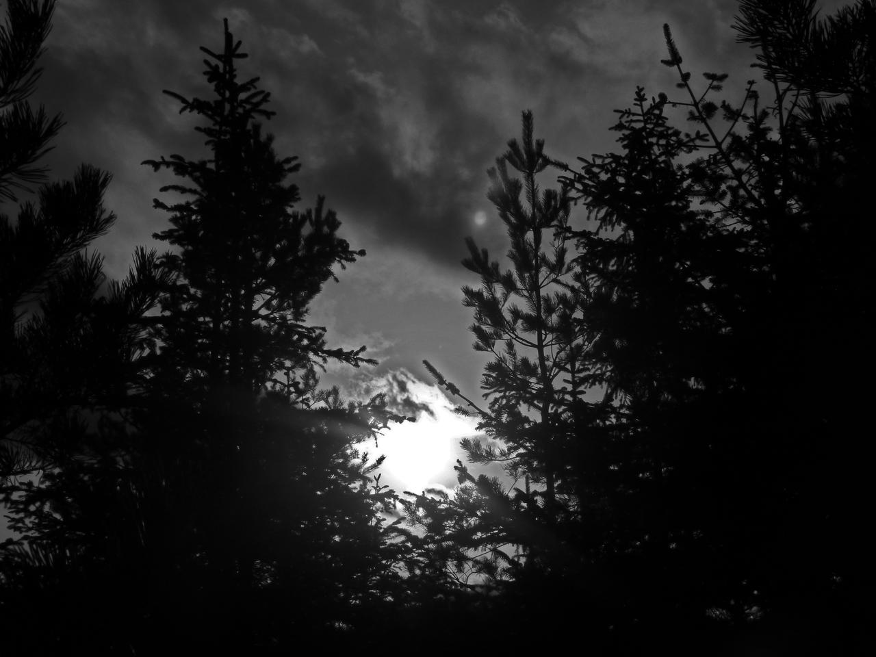 P1000781.JPG