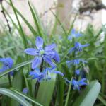 2.IMG_0183