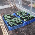 plot2012 064