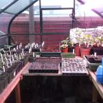 DSCF1578