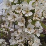 DSCF1801