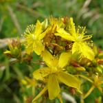 DSCF1673