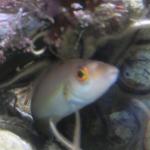 2.IMG_0375