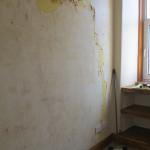 2.IMG_0461