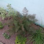 DSCF2014