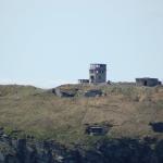 DSC_1395.jpg