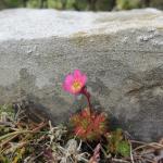 2.IMG_0562