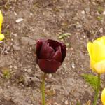 DSC_1459.jpg