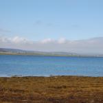 DSC_1671.jpg