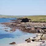 DSC_2421.jpg