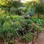 The greenhouse is now a Folly