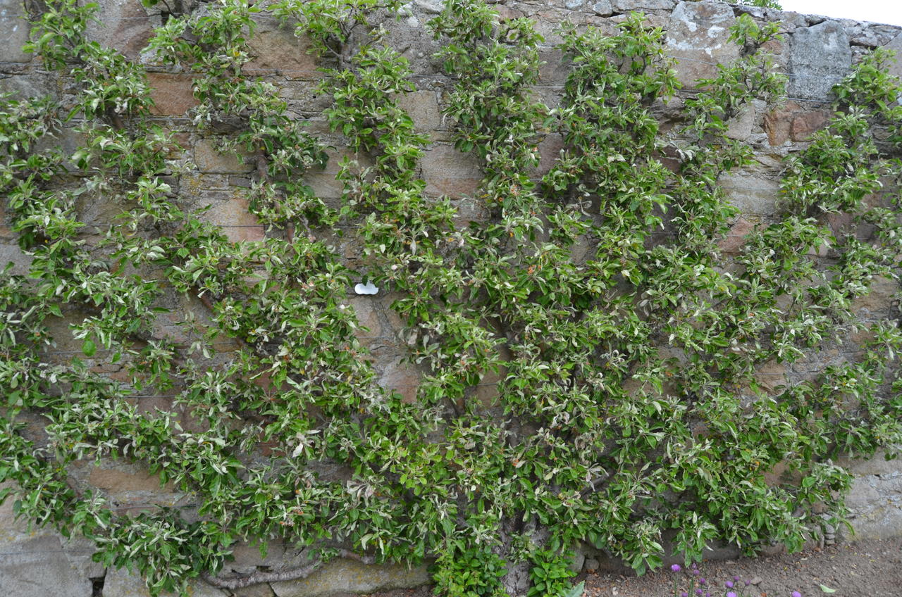2.AAB_4086