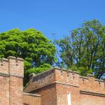 IMG_3770.JPG