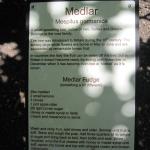 IMG_3789.JPG