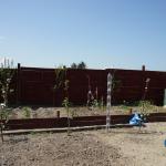 veg garden