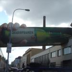 DSC03972.JPG