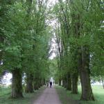 DSCN1058.jpg