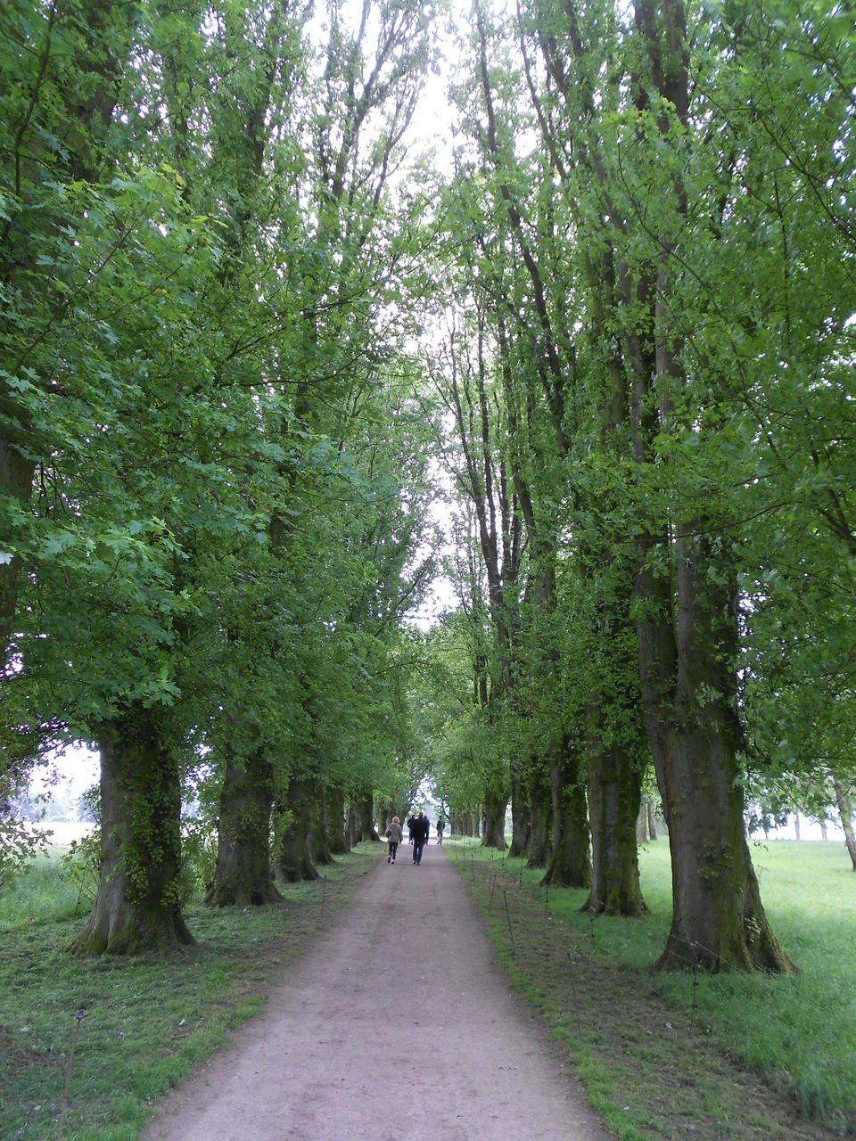 DSCN1058.jpg