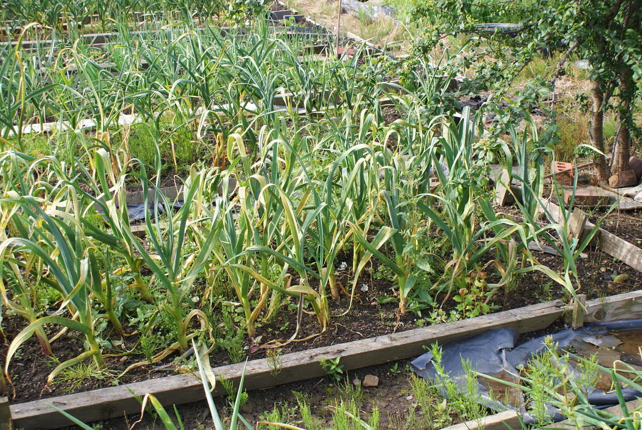 DSC04530