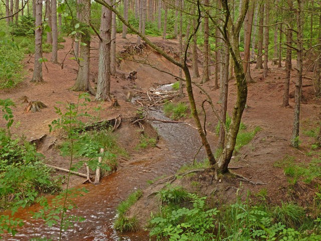 P1020175.jpg