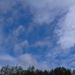 P1020182.jpg