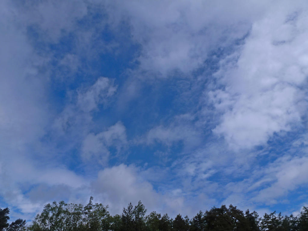 P1020182.jpg