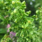2.IMG_0875